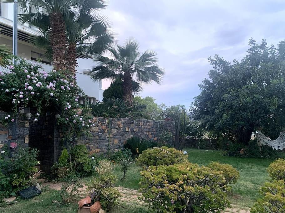 Ammoudi Hideaway * Agios Nikolaos (Crete)